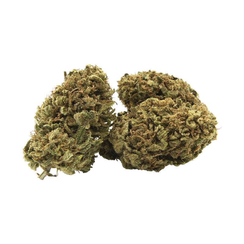 👽 Alien Skunk – 8 à 10% de CBD