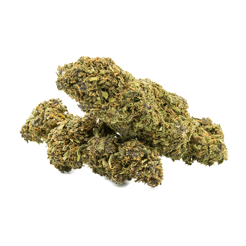 🌴 Tropical Tangie – 10 à 12% de CBD