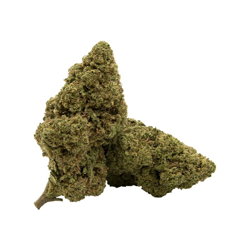 💎 Amnesia Premium – 8 à 10% de CBD