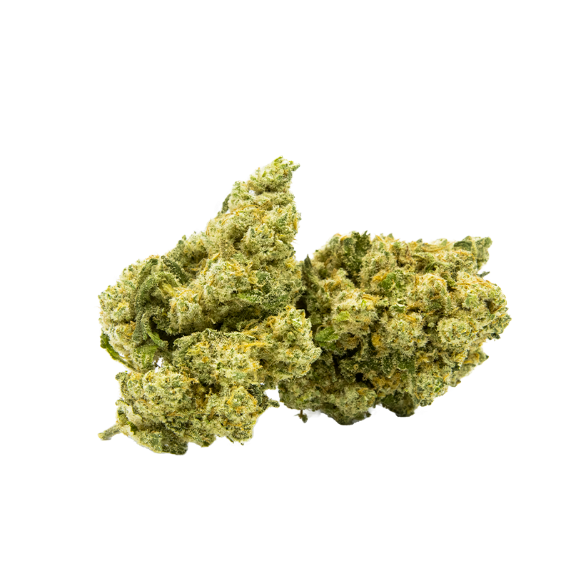 💧 Amnesia Hydro – 14 à 16% de CBD