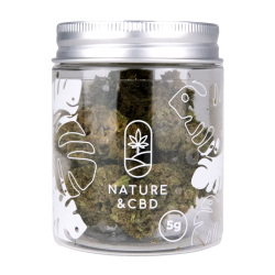🌀 Torus – 12 à 14% de CBD