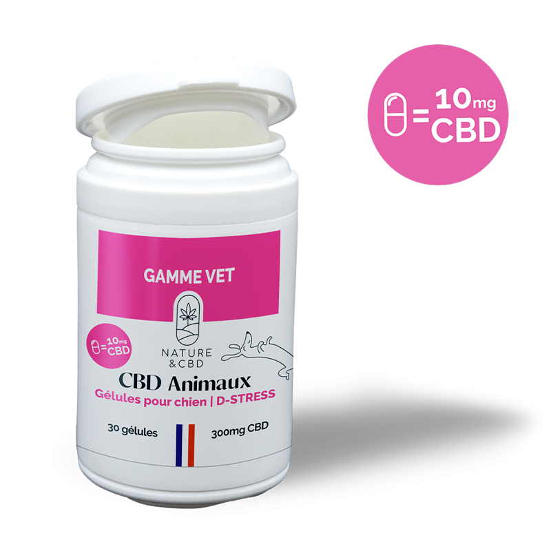 đ¶ GĂ©lules CBD Chien D-Stress â 10mg