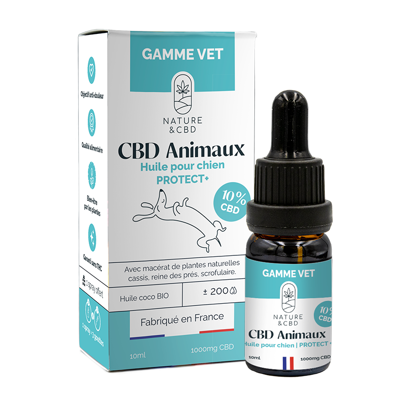 🐾 Huile CBD 10% Protect+ – Pour Chiens