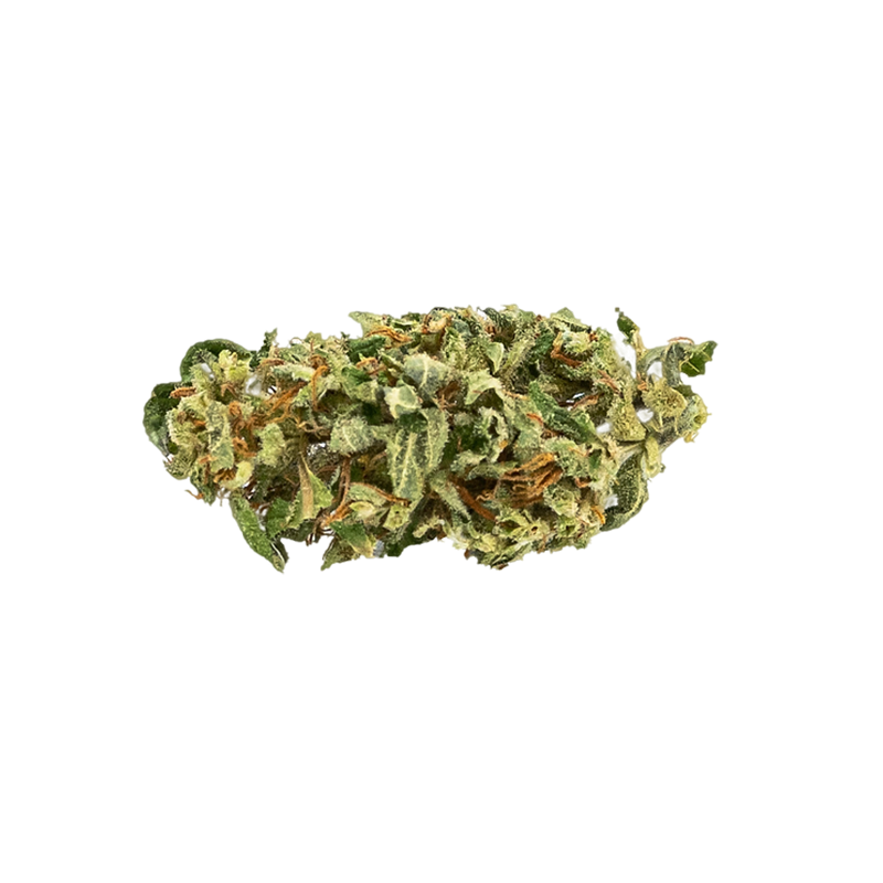 🌀 Amnésia – 4 à 6% de CBD