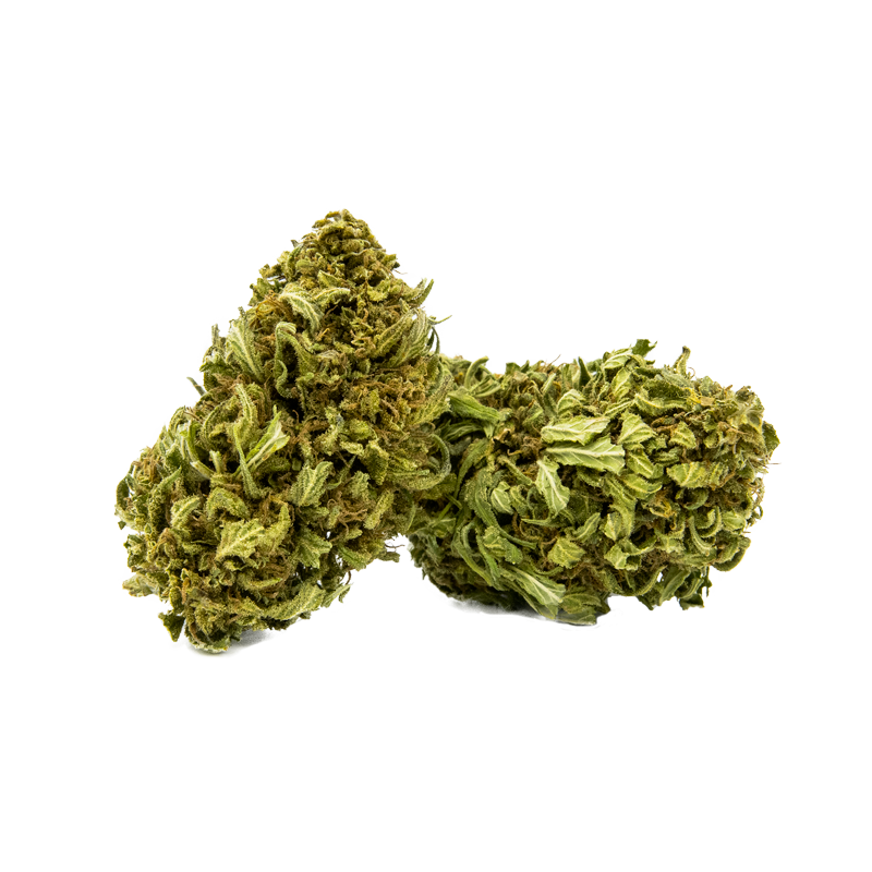 đ Moby Dick â 12 Ă 14% de CBD