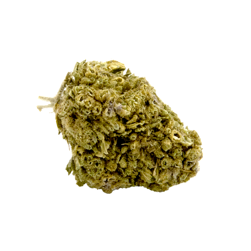 ⛽ Sour Diesel – 12 à 14% de CBD