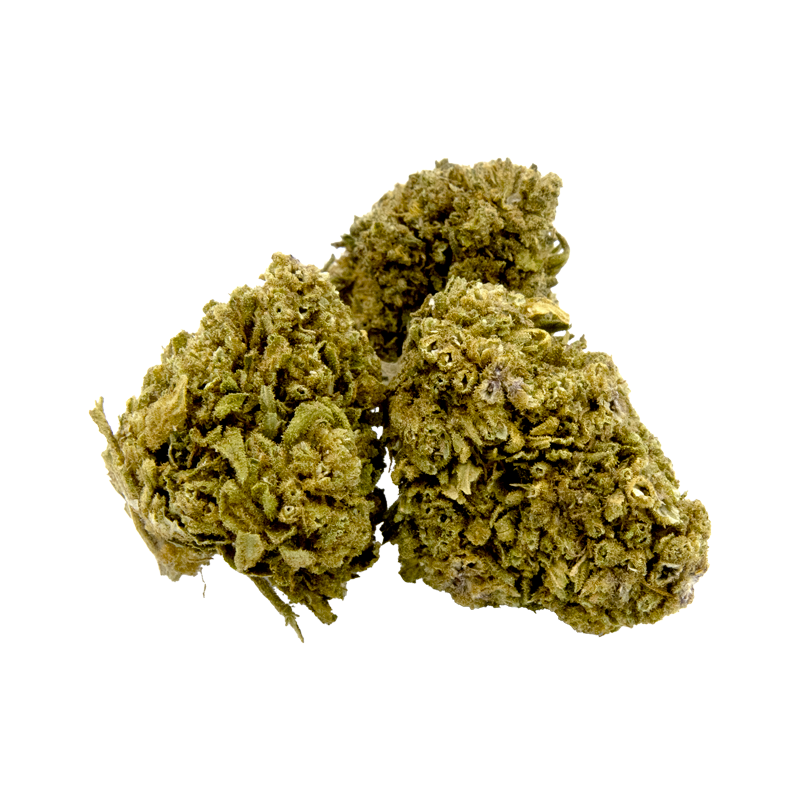 ⛽ Sour Diesel – 12 à 14% de CBD