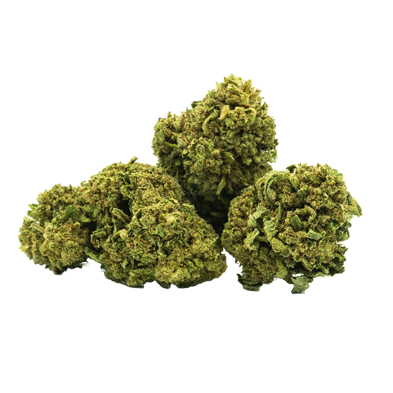 🌀 Torus – 12 à 14% de CBD