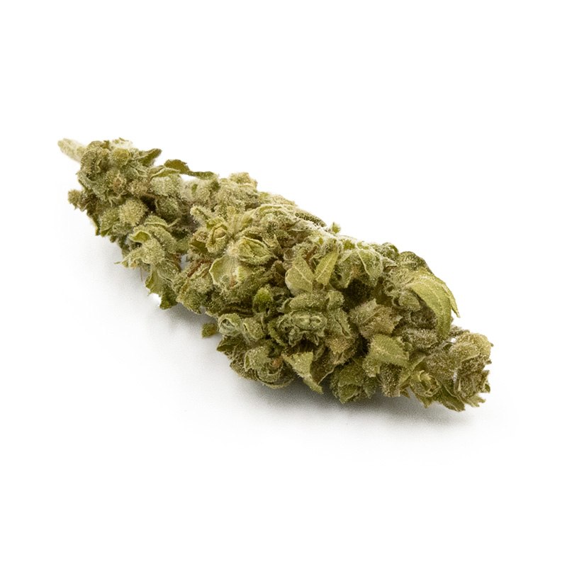 🍧 Gelato – 0 à 2% de CBD, 6 à 8% de CBG