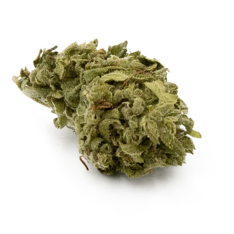 🍧 Gelato – 0 à 2% de CBD, 6 à 8% de CBG