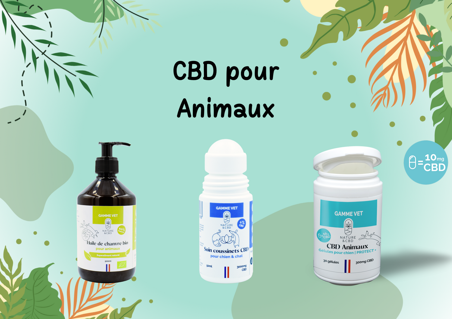 Les Soins pour Animaux