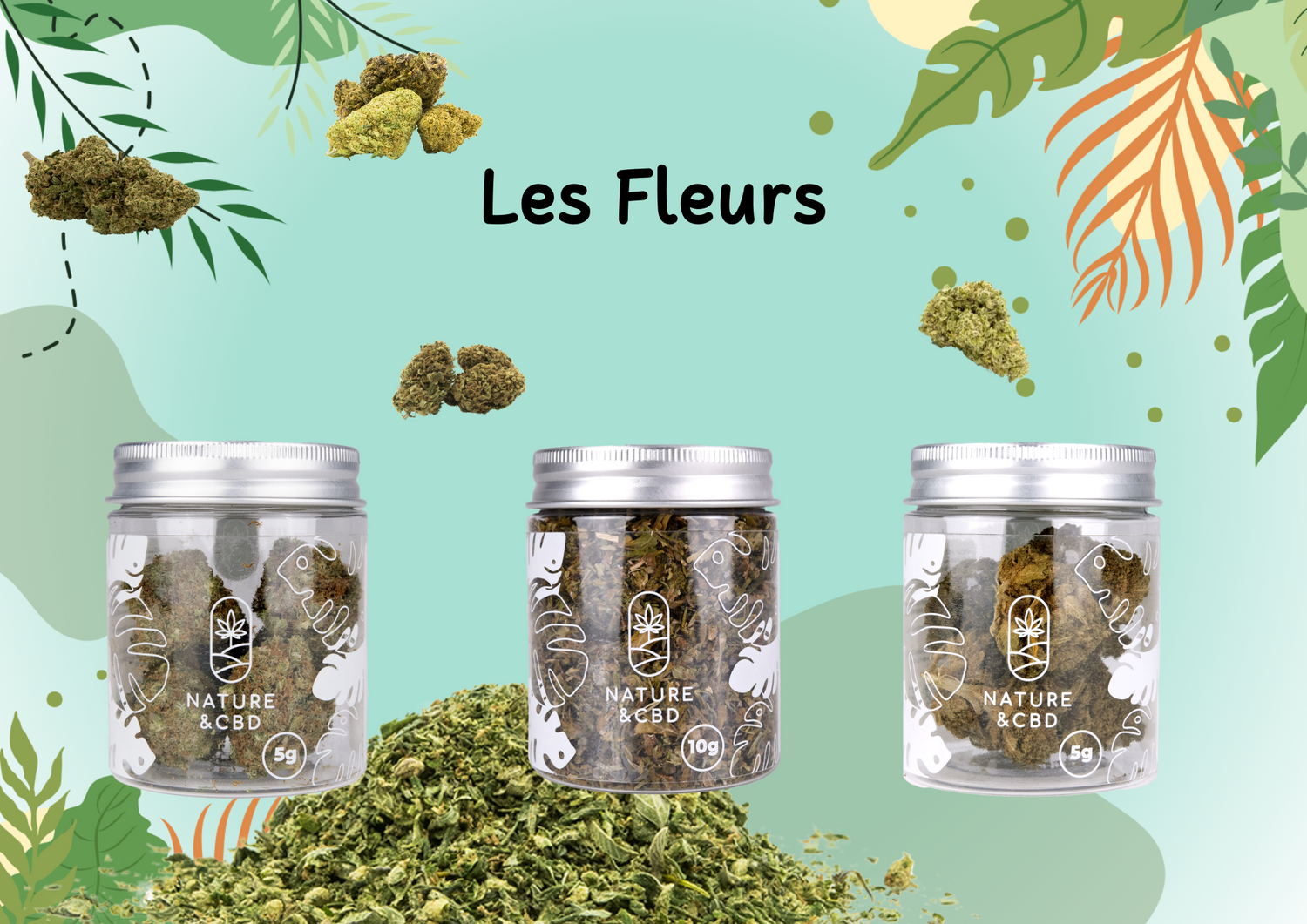 Les Fleurs de CBD