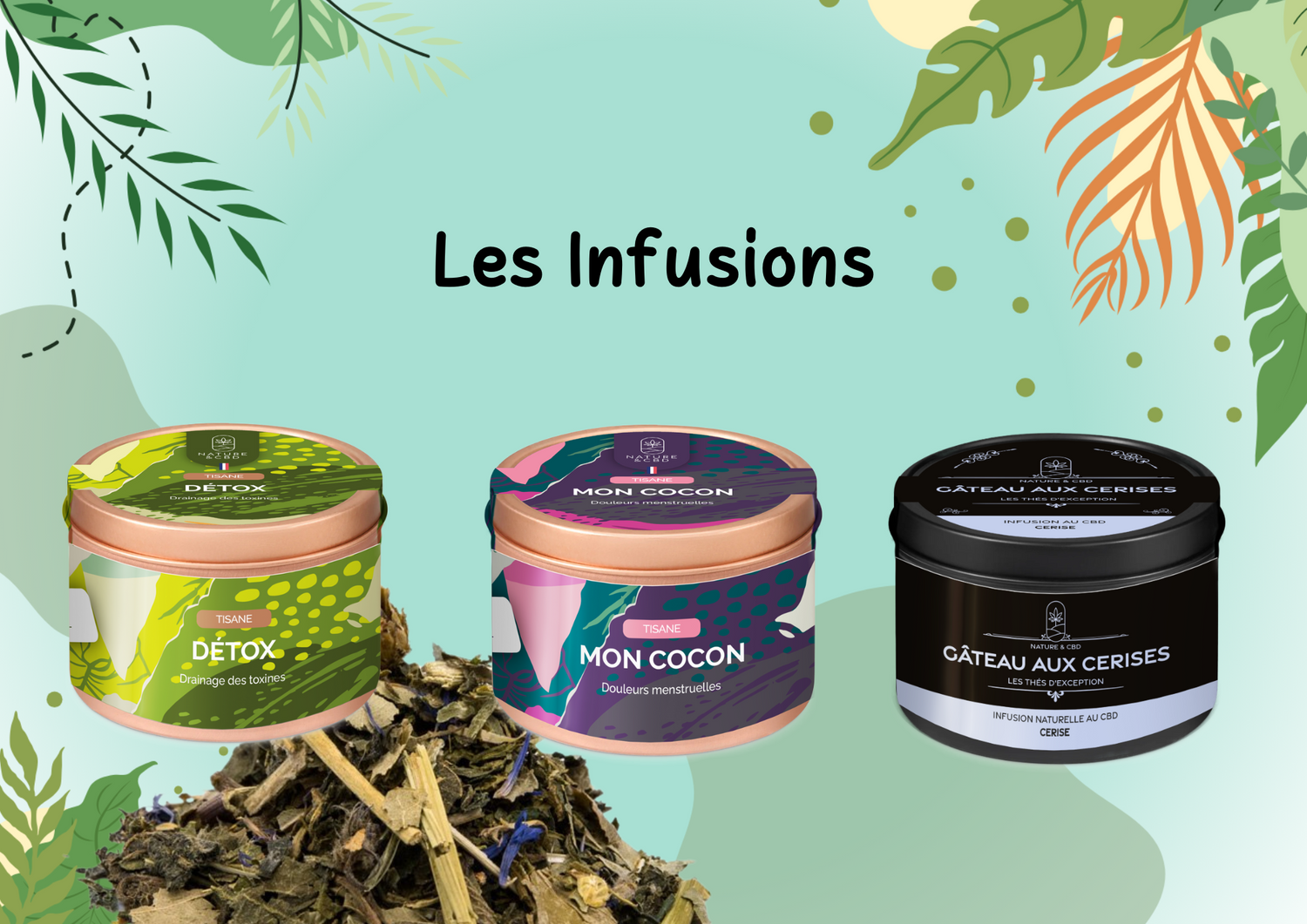 Les Thé, Tisanes et Infusions