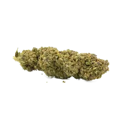 🌴 Tropical Tangie – 10 à 12% de CBD