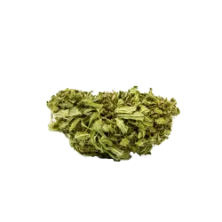 🐋 Moby Dick – 12 à 14% de CBD