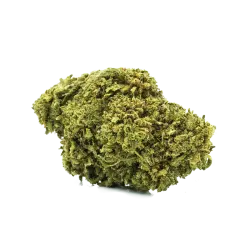 🌀 Torus – 12 à 14% de CBD