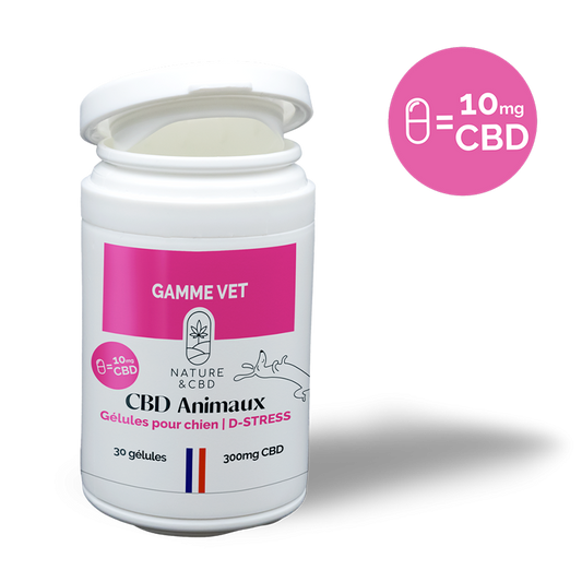 🐶 Gélules CBD Chien D-Stress – 10mg