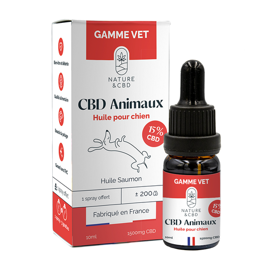 🐕 Huile CBD 15% – Pour Chiens