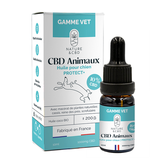 🐾 Huile CBD 10% Protect+ – Pour Chiens